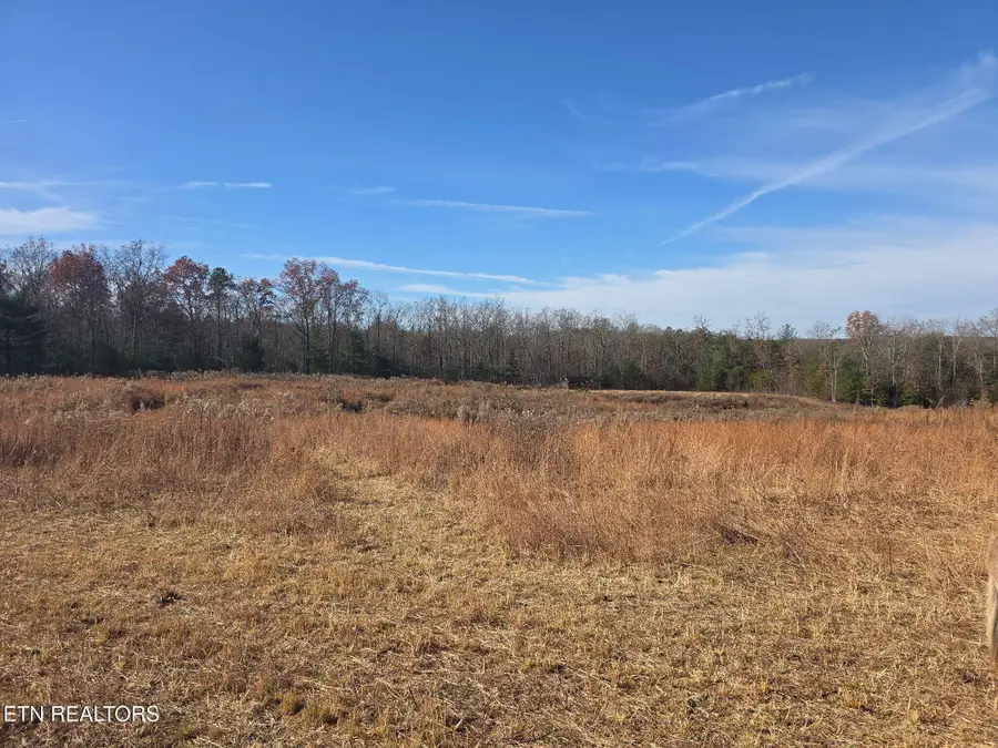 304 Barnett Bridge Rd, Lancing, TN 37770 - #3