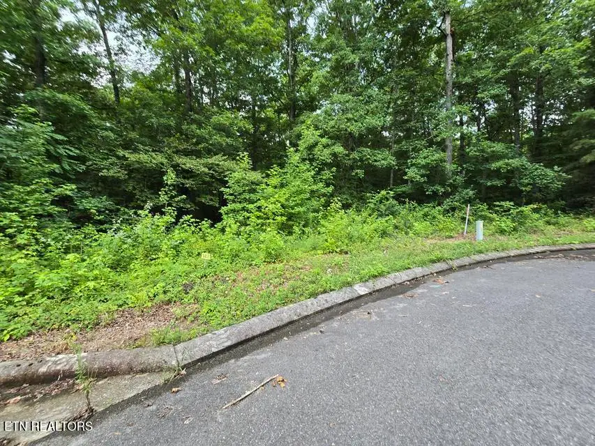 Lot 142 Lower Brow Rd, Dunlap, TN 37327 - #1