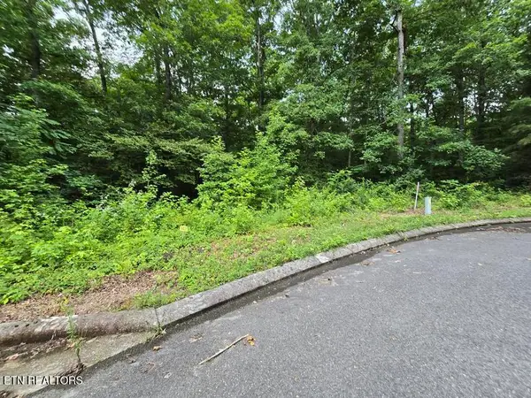 Lot 142 Lower Brow Rd, Dunlap, TN 37327