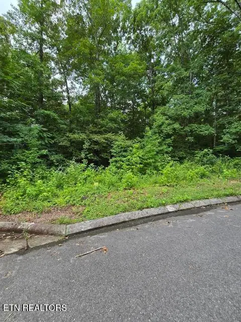 Lot 142 Lower Brow Rd, Dunlap, TN 37327 - #2