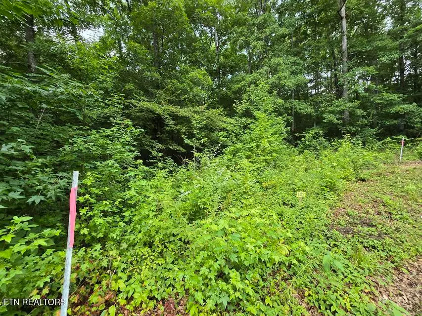 Lot 142 Lower Brow Rd, Dunlap, TN 37327 - #3
