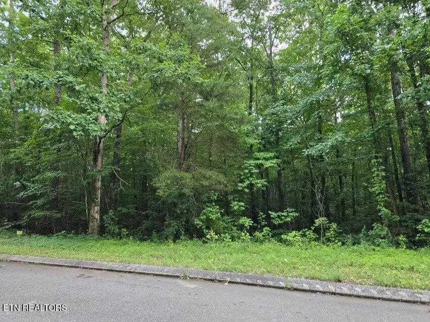 Lot 144 Lower Brow Rd, Dunlap, TN 37327 - #1