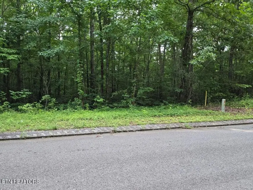 Lot 144 Lower Brow Rd, Dunlap, TN 37327 - #3