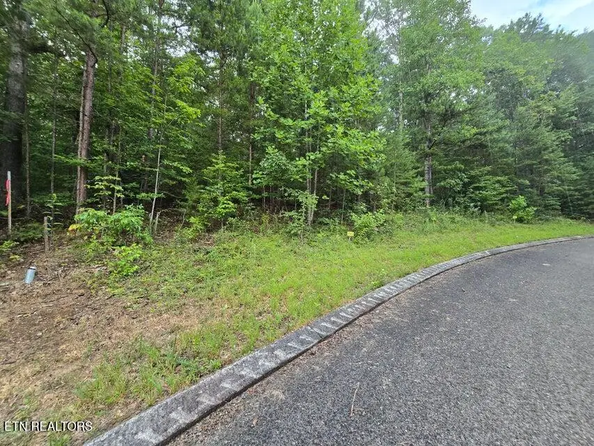 Lot 155 Lower Brow Rd, Dunlap, TN 37327 - #1