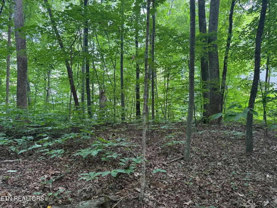 324 Dudala Point, Loudon, TN 37774 - #3