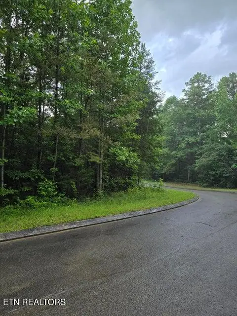 Lot 156 Lower Brow Rd, Dunlap, TN 37327 - #3