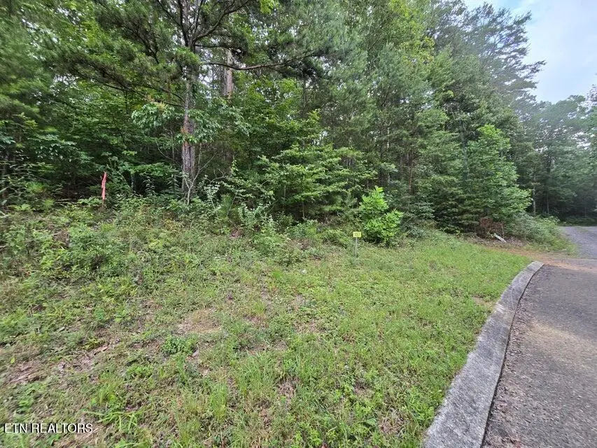 Lot 157 Lower Brow Rd, Dunlap, TN 37327 - #2