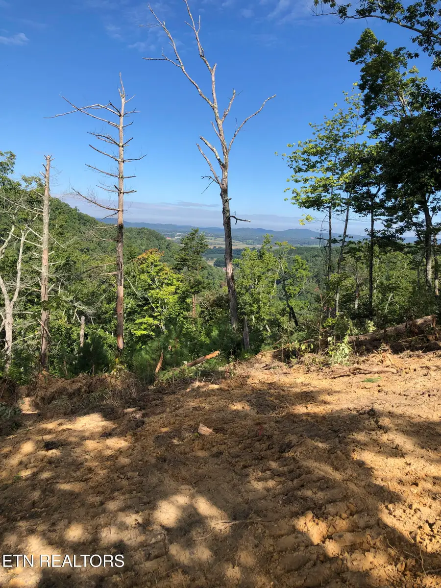 157 Quarry Creek Rd #1-4, Tellico Plains, TN 37385 - #3