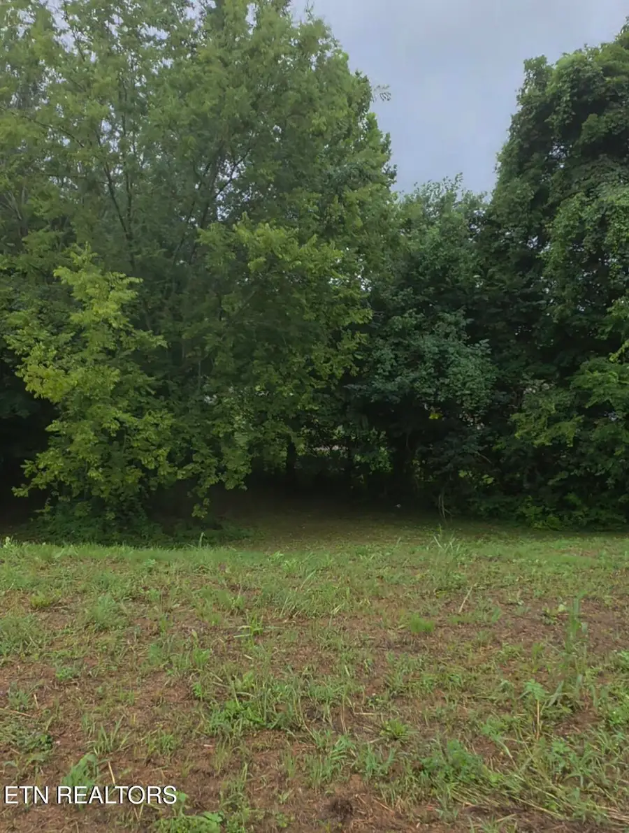 4517 Shane Lane, Knoxville, TN 37921 - #2