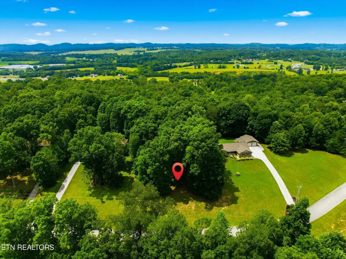 264 Woodhaven Drive, Vonore, TN 37885 - #1