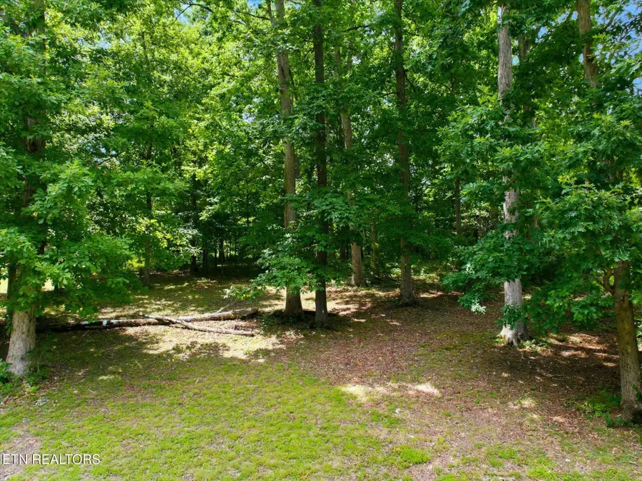 264 Woodhaven Drive, Vonore, TN 37885 - #2