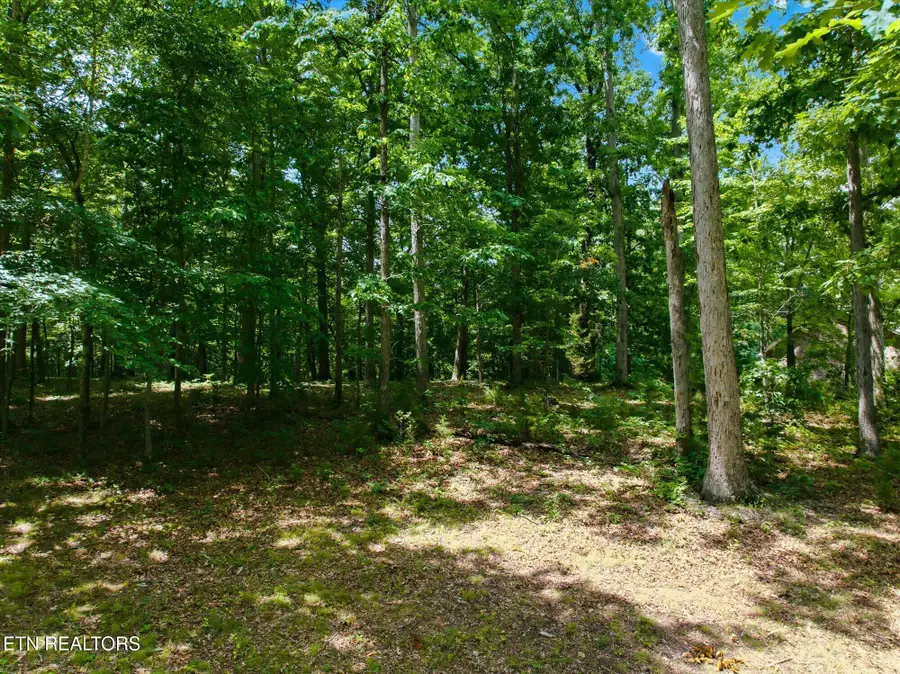 264 Woodhaven Drive, Vonore, TN 37885 - #3