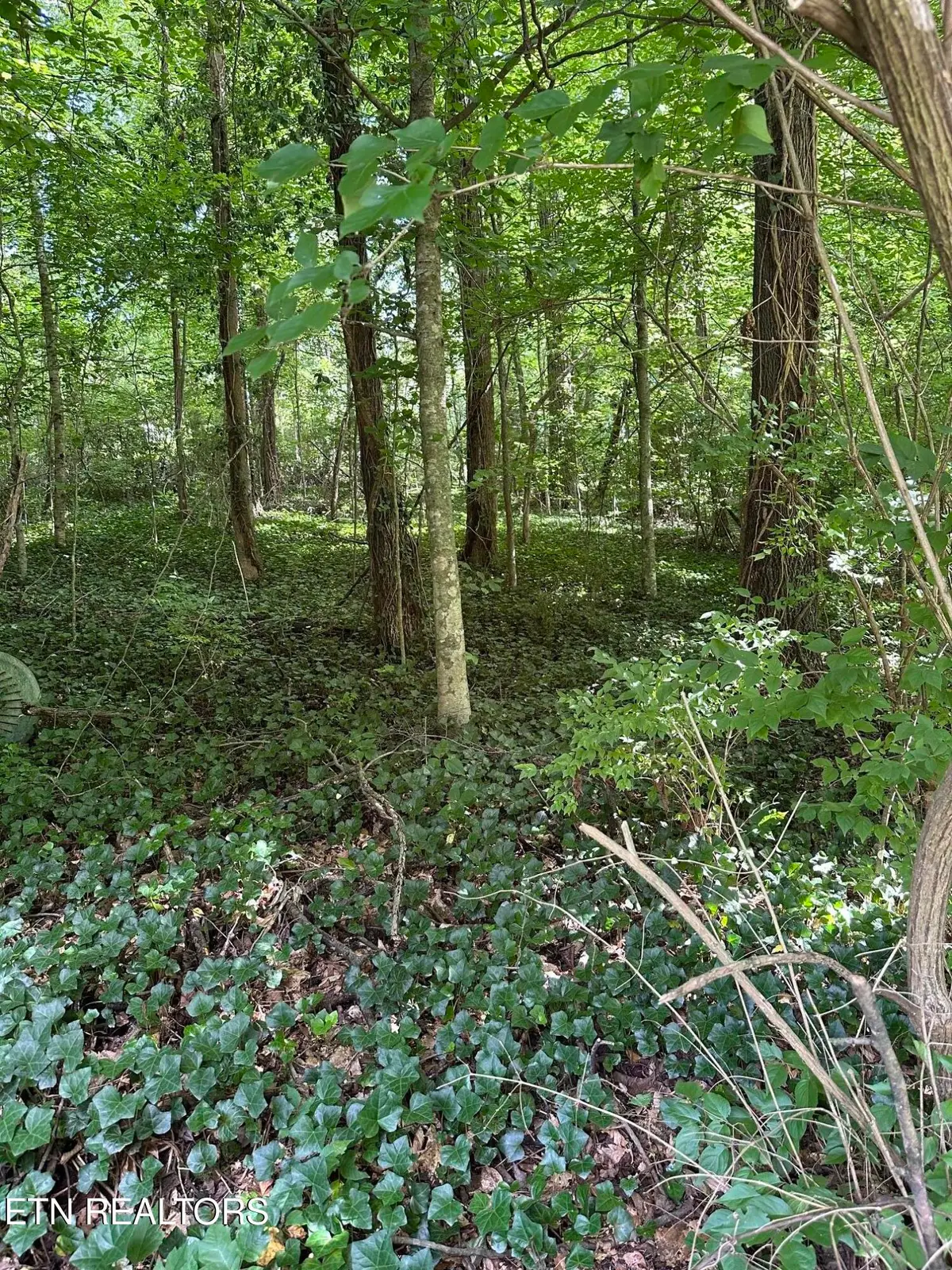 2506 Shaler Lane, Knoxville, TN 37920 - #1