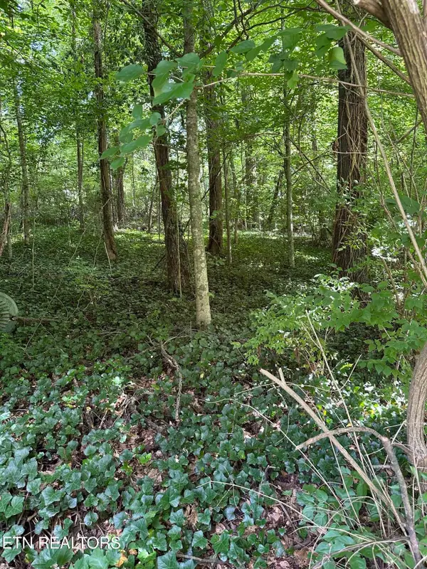 2506 Shaler Lane, Knoxville, TN 37920