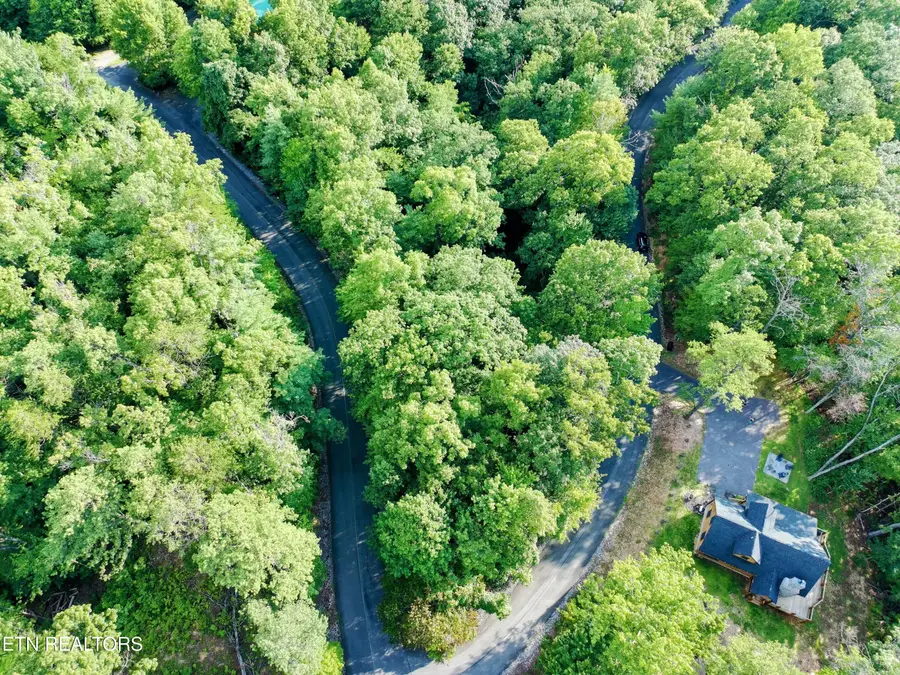 Buck Board Lane, Sevierville, TN 37862 - #3
