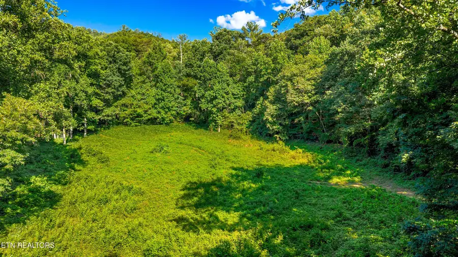 14 Acres Halls Top Rd, Newport, TN 37821 - #3
