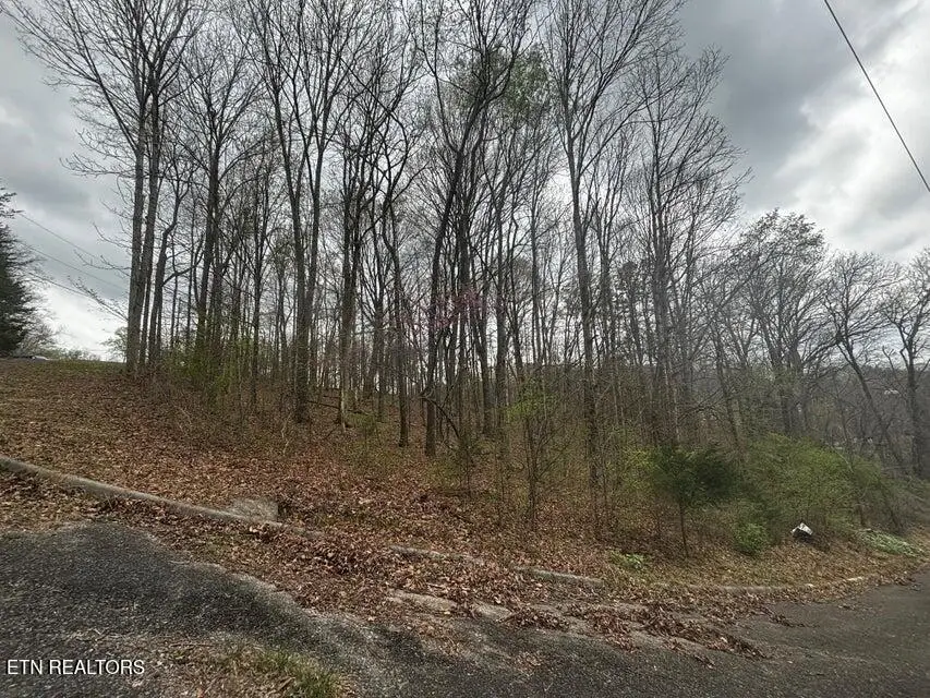 197 County Rd, Athens, TN 37303 - #3