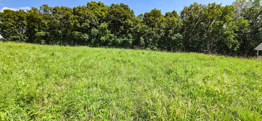 Lot 230 Jade Lane, New Tazewell, TN 37825 - #2