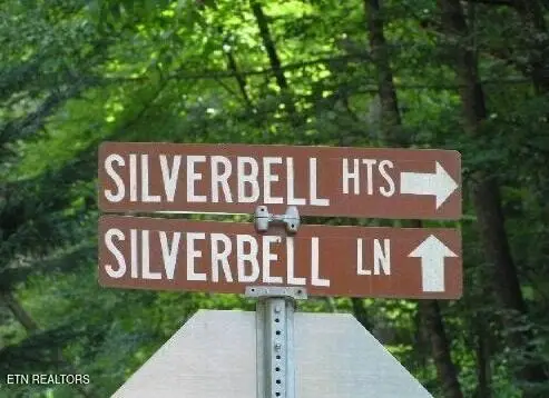 329 Silverbell Lane, Gatlinburg, TN 37738 - #1