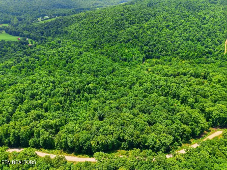0 Tomahawk Rd, Jamestown, TN 38556 - #2