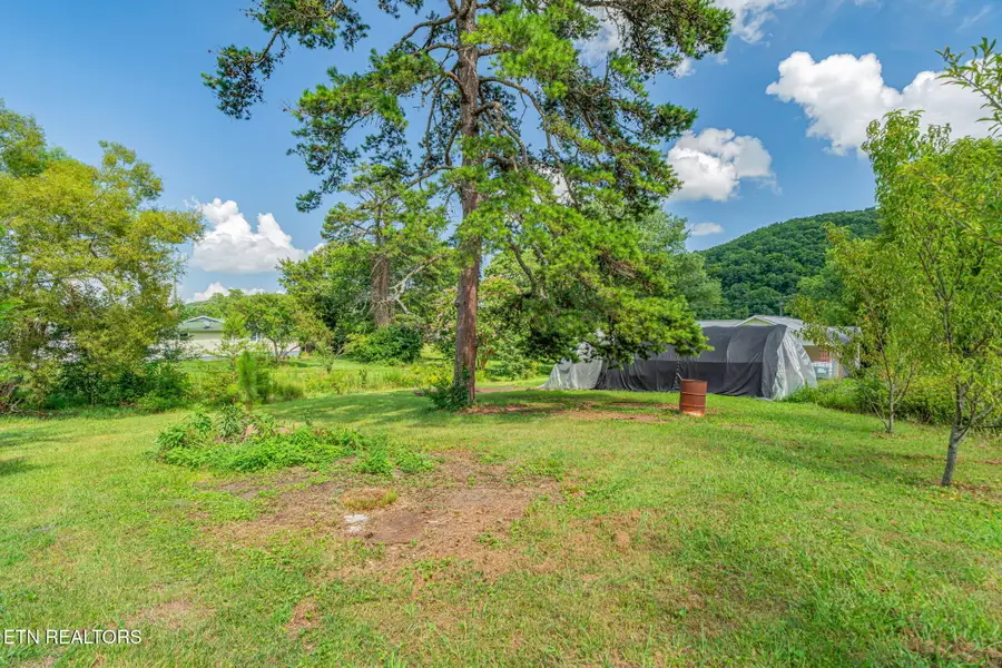 231 Wright Rd, Oliver Springs, TN 37840 - #2