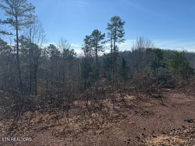 Sweetwater Vonore Rd, Sweetwater, TN 37874 - #2