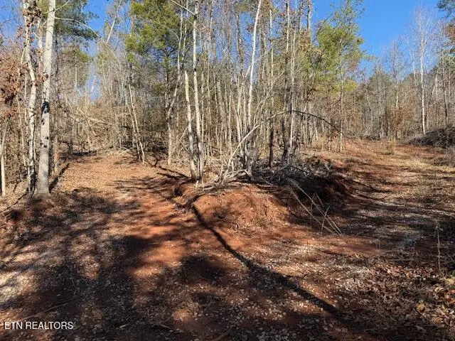 Sweetwater Vonore Rd, Sweetwater, TN 37874 - #3
