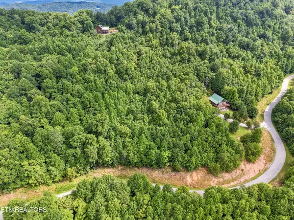 Chimney Rock Rd, New Tazewell, TN 37825
