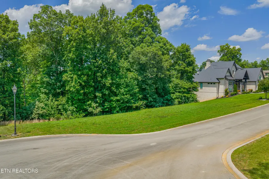 3336 Preserve Pointe, Louisville, TN 37777 - #3