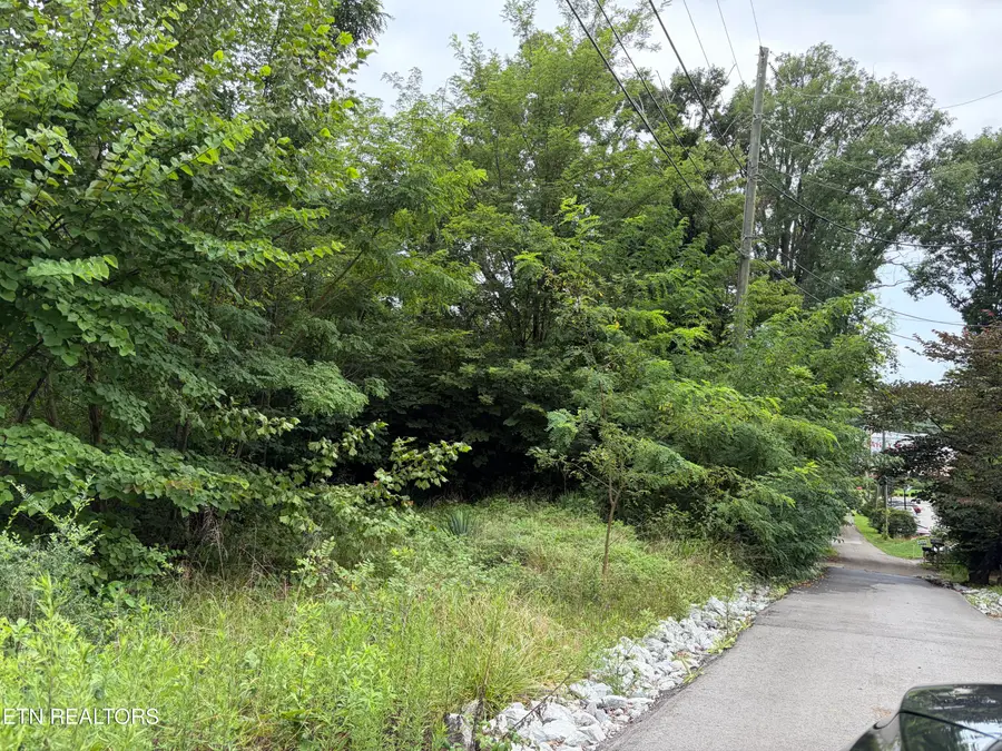 1476 Currier Lane, Knoxville, TN 37919 - #3