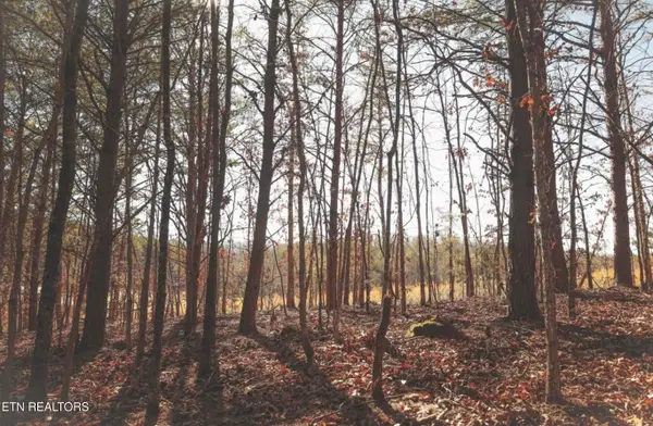 Lot 10 Curtis Rd, Tellico Plains, TN 37385