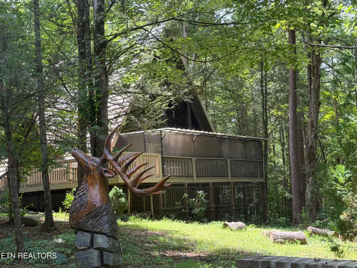 110 Buffalo Springs Way, Townsend, TN 37882 - #1