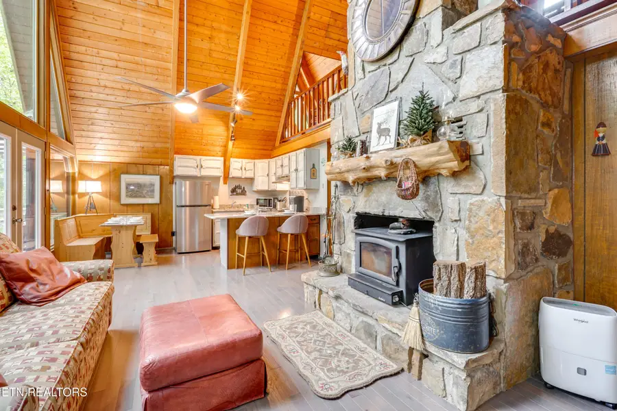 110 Buffalo Springs Way, Townsend, TN 37882 - #3