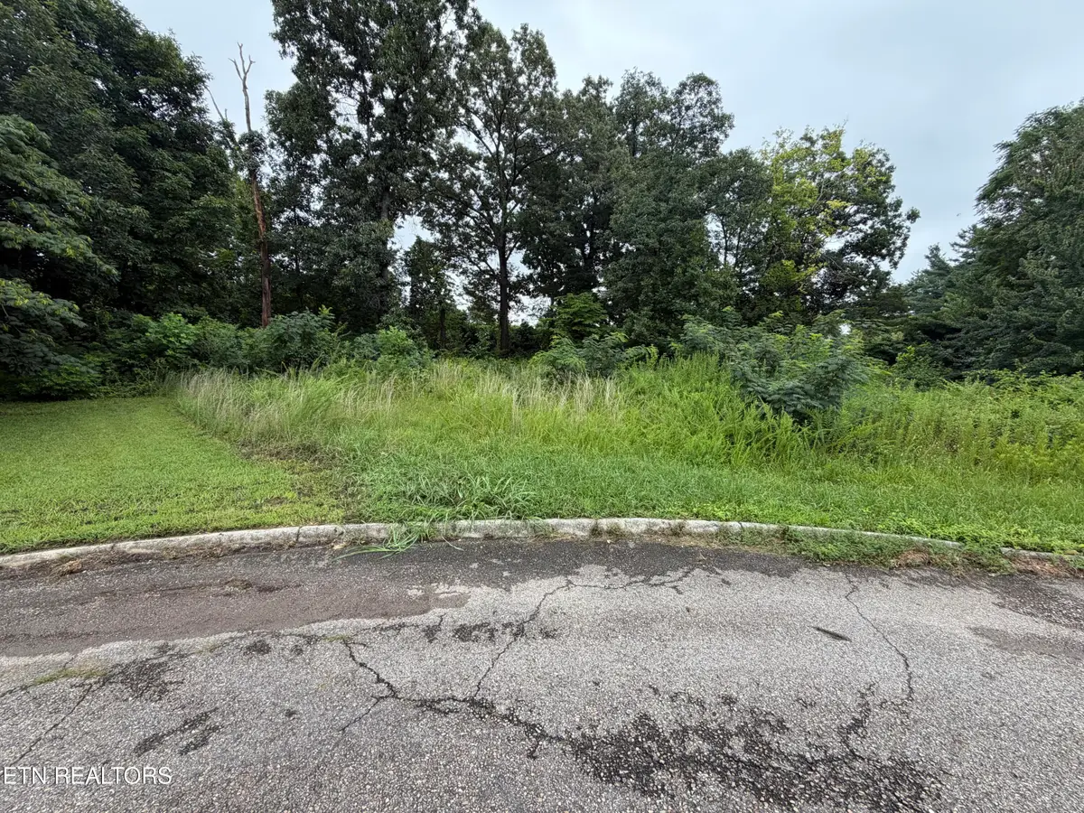 4704 Tomache Drive, Knoxville, TN 37909 - #1