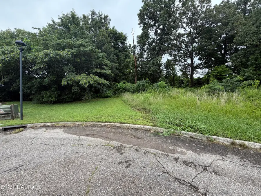 4704 Tomache Drive, Knoxville, TN 37909 - #2