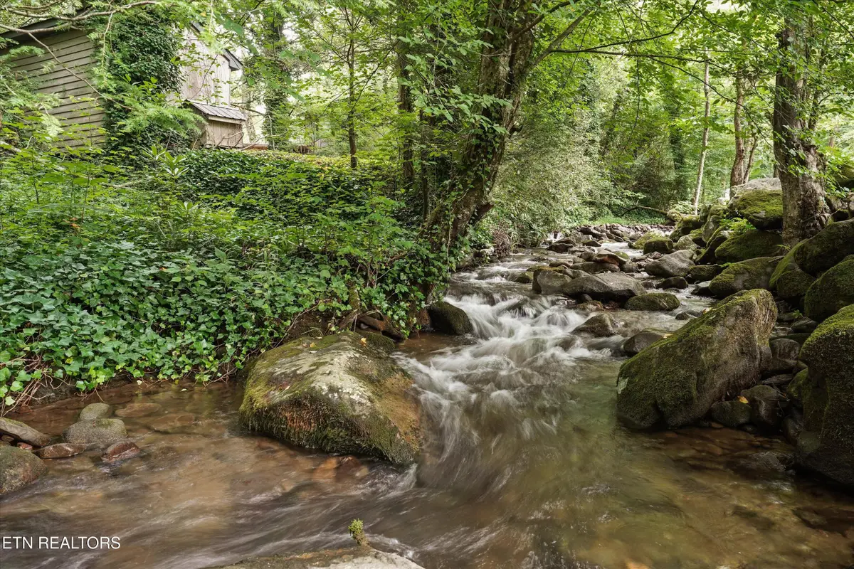 211 Webb Creek Skyline Drive, Gatlinburg, TN 37738 - #1