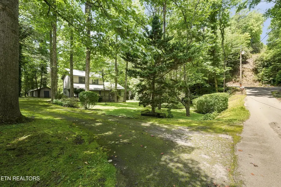 211 Webb Creek Skyline Drive, Gatlinburg, TN 37738 - #2