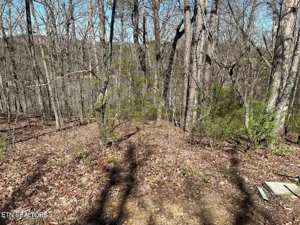 313 Skiatook Circle, Loudon, TN 37774