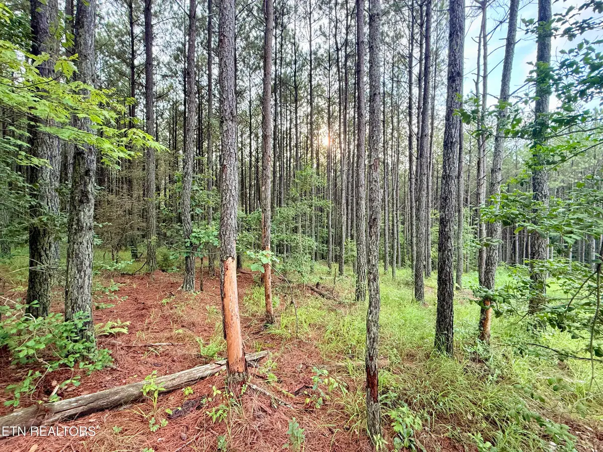 Lot 10, 11, & 13 Airport Road, Rockwood, TN 37854 - #1