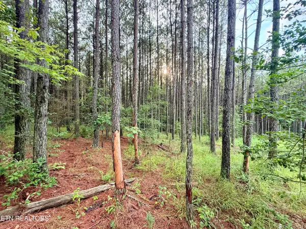 Lot 10, 11, & 13 Airport Road, Rockwood, TN 37854