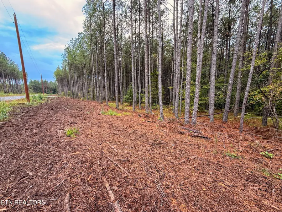 Lot 10, 11, & 13 Airport Road, Rockwood, TN 37854 - #2