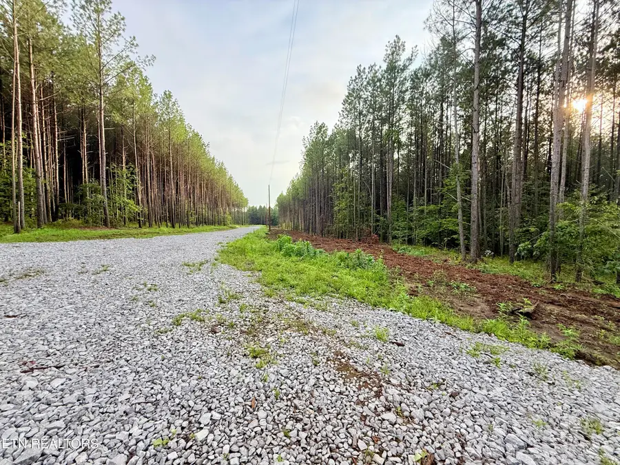 Lot 10, 11, & 13 Airport Road, Rockwood, TN 37854 - #3