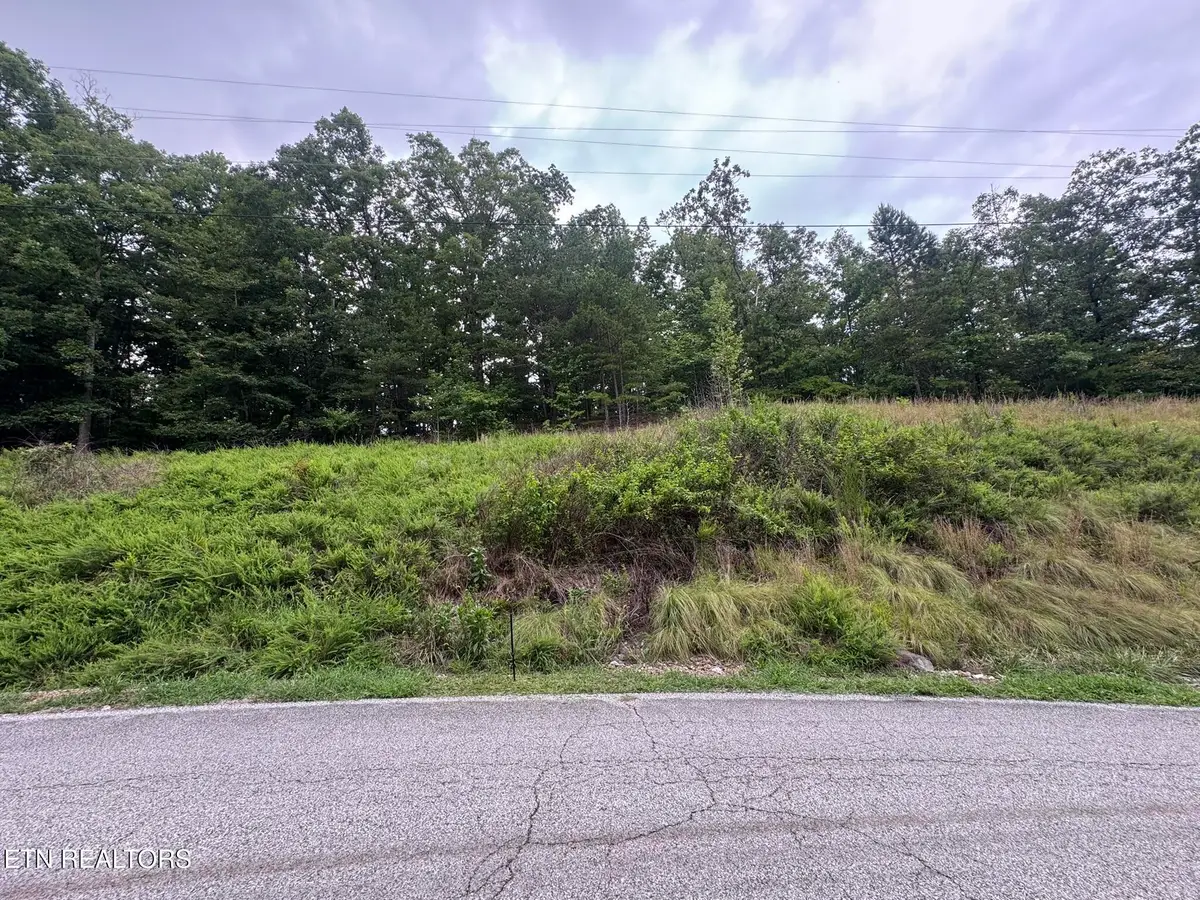 Hidden Oaks Rd, Rockwood, TN 37854 - #1