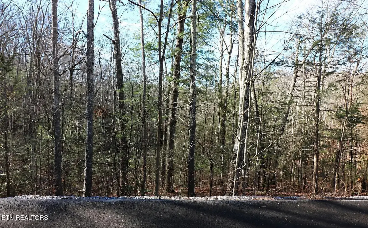Whetstone Rd, Sevierville, TN 37862 - #1
