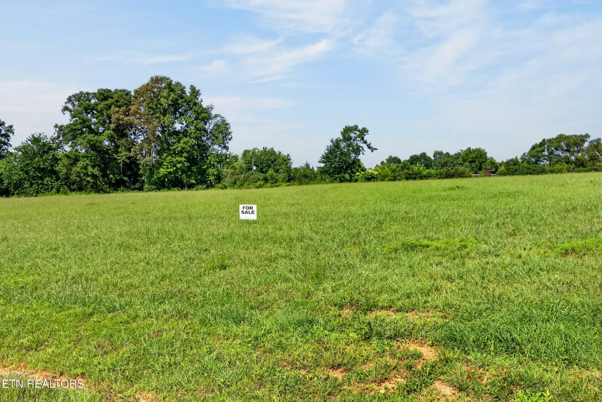1433 Anna Maria Lane, Cookeville, TN 38501 - #1