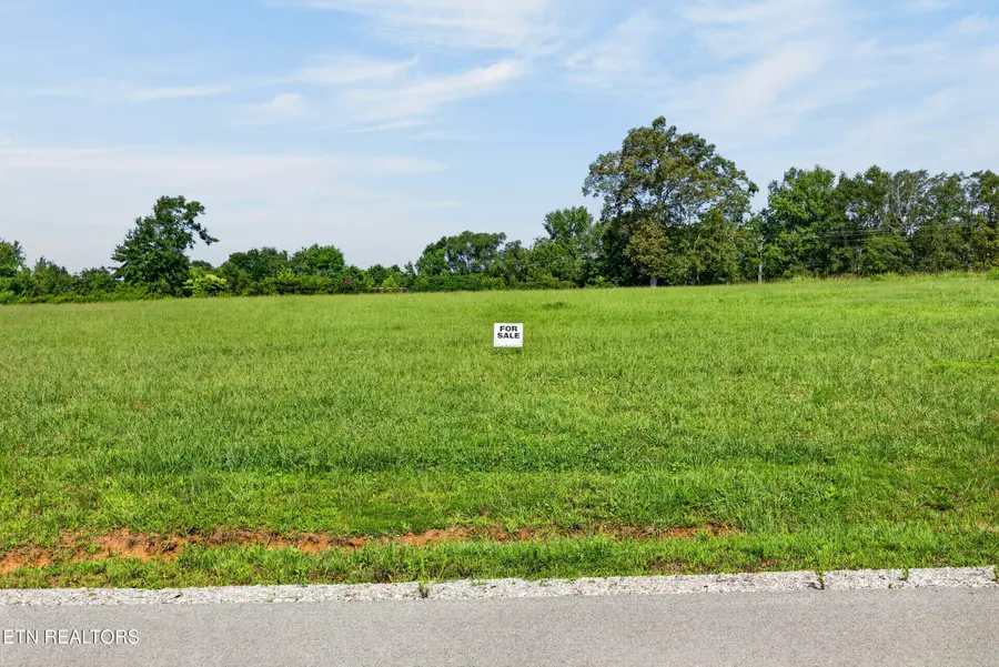 1433 Anna Maria Lane, Cookeville, TN 38501 - #2