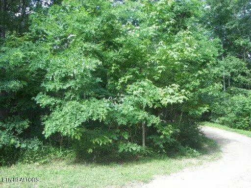 Lot 30 Butternut Lane, Sevierville, TN 37876 - #1