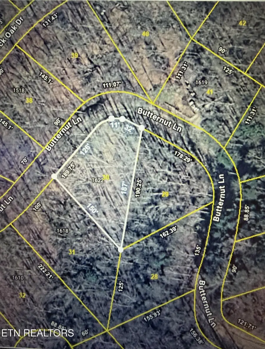 Lot 30 Butternut Lane, Sevierville, TN 37876 - #2