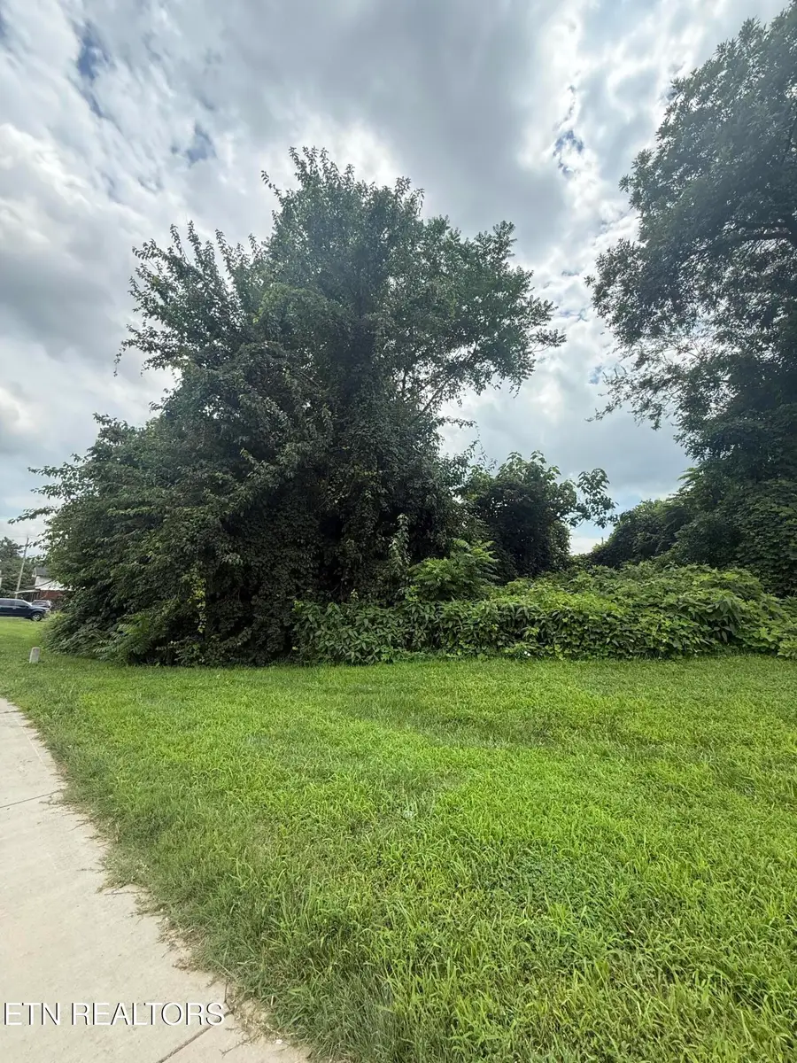 0 Western Ave, Knoxville, TN 37921 - #3
