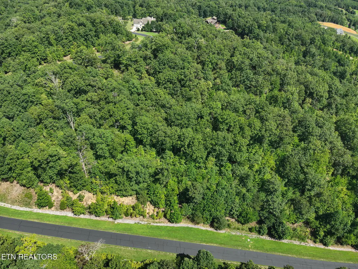 393 W Mountain Drive, Rockwood, TN 37854 - #1